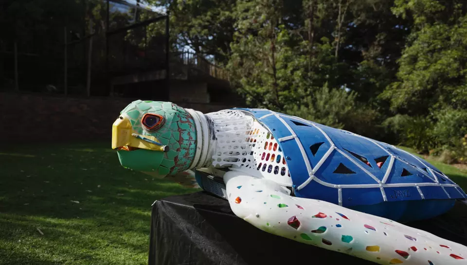 Q&A with artist David Day | Veolia Australia and New Zealand