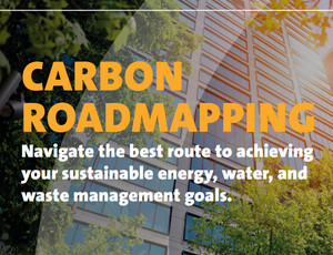 Carbon Roadmapping Capability Statement