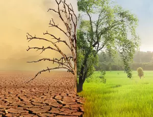 Depollute