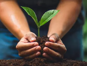Regenerate Resources