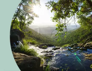 School of Ecological Transformation Hero Banner