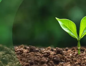 Veolia Vitagro web banner