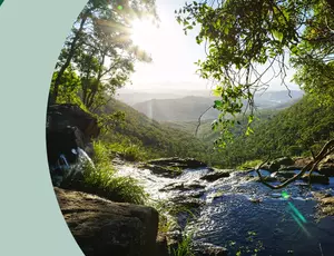 School of Ecological Transformation banner