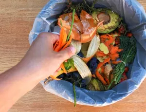 What is FOGO Hero Banner