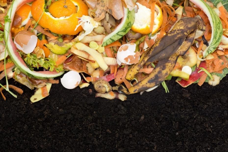 Australia's food cycle