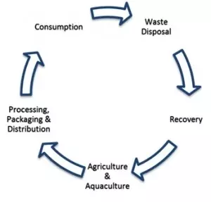 Waste to energy