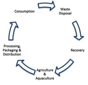 Waste to energy