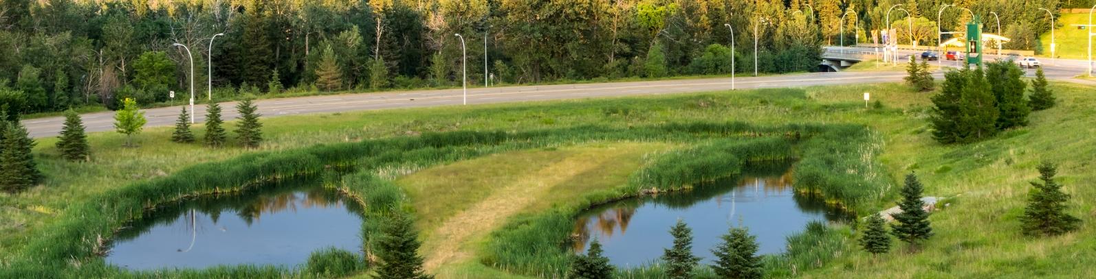 Stormwater Artificial Wetlands