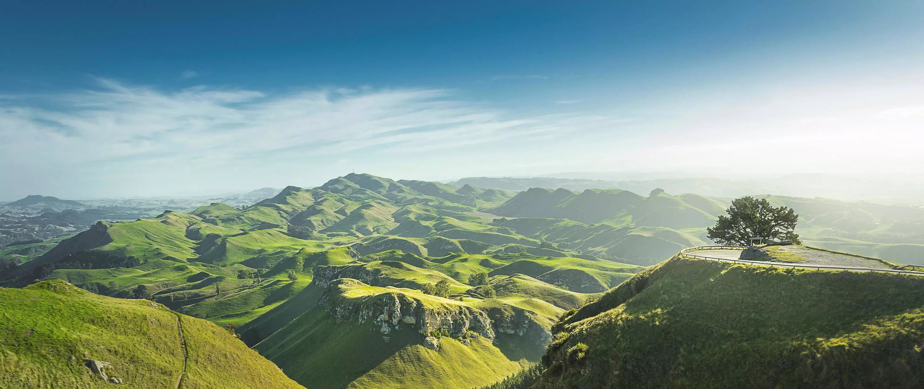 How We Work With You