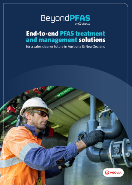 Brochure Example