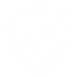 Safety Icon