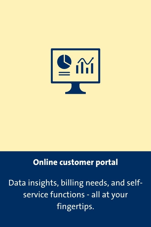 Online customer portal with text