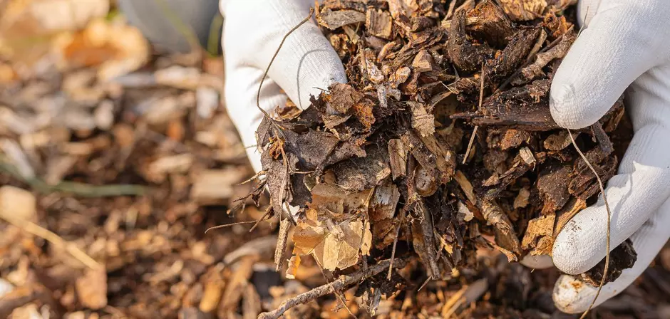 Person Lifting Garden Organics