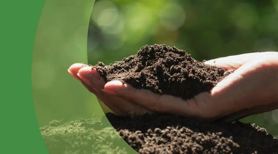 Hand holding soil
