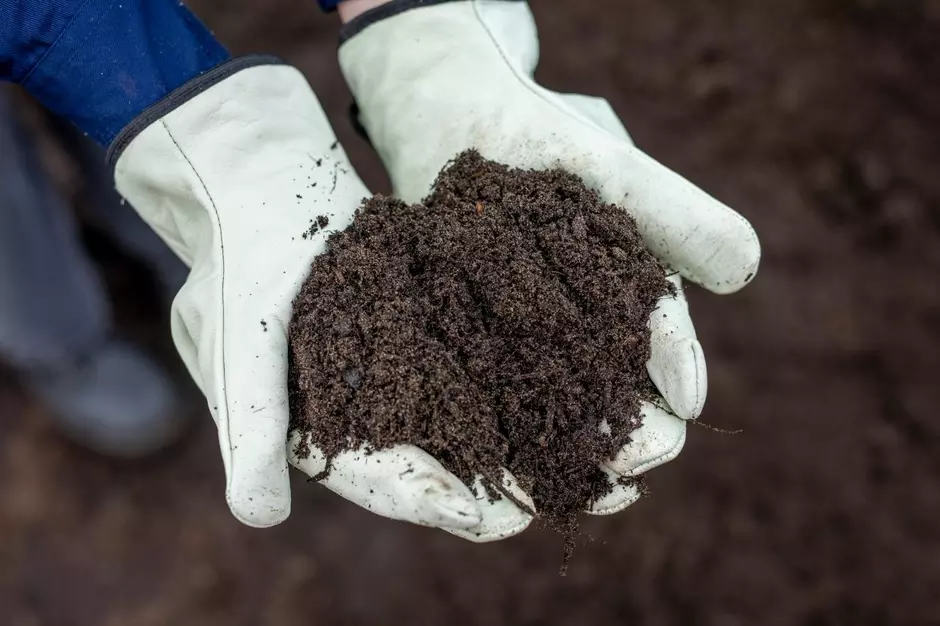 Hands holding compost